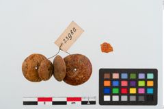 Foto von Perlenkette (NHMW-PRAE-023980)